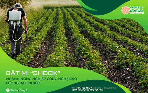 Bật Mí “Shock” Ngành Nông Nghiệp Công Nghệ Cao Lương Bao Nhiêu?